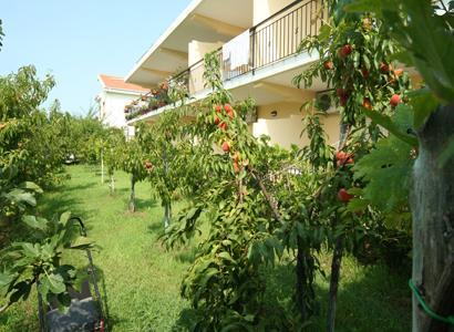 Bed And Breakfast Cirelli Scalea Extérieur photo